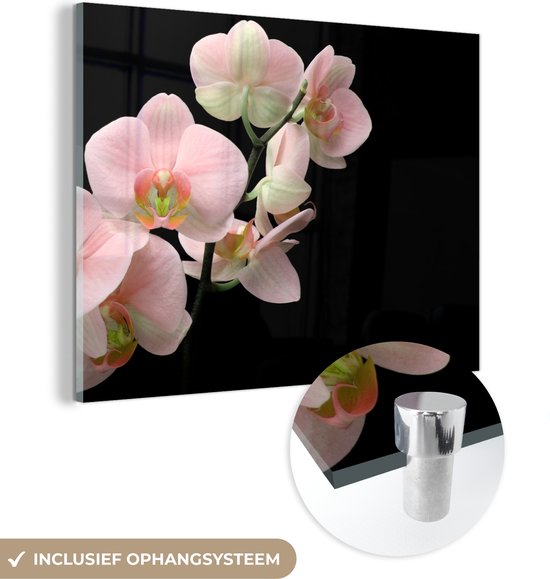 MuchoWow® Peinture sur verre 80x60 cm - Peinture sur verre acrylique - Orchidée - Fleurs - Rose - Nature morte - Flora - Photo sur verre - Peintures