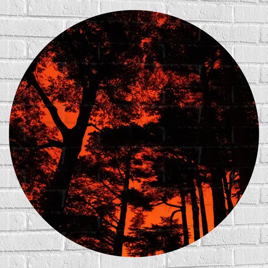 WallClassics - Muursticker Cirkel - Silhouet van Groep Bomen tegen Oranje Lucht - 90x90 cm Foto op Muursticker