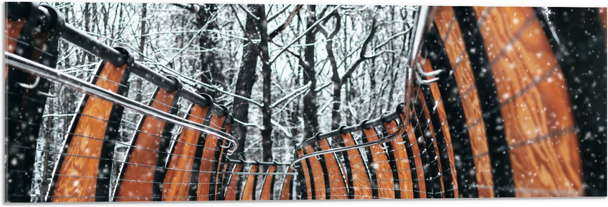 Acrylglas - Hekwerk in Ondergesneeuwd Bos - 90x30 cm Foto op Acrylglas (Wanddecoratie op A