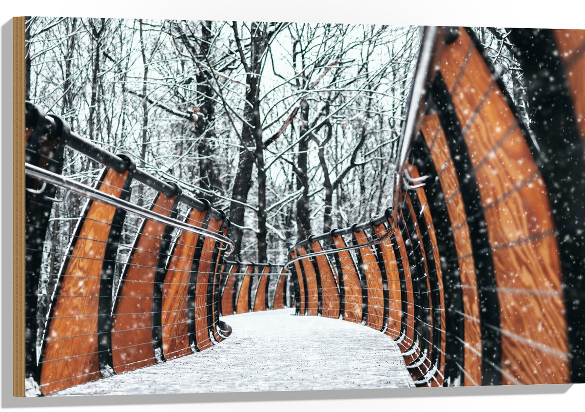 Hout - Hekwerk in Ondergesneeuwd Bos - 90x60 cm - 9 mm dik - Foto op Hout (Met Ophangsyste