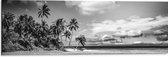 Dibond - Rij Palmbomen langs Rustige Zee (Zwart- wit) - 90x30 cm Foto op Aluminium (Wanddecoratie van metaal)