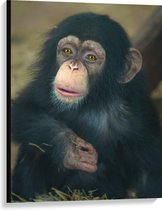 WallClassics - Canvas - Zittende Chimpanzee - 75x100 cm Foto op Canvas Schilderij (Wanddecoratie op Canvas)
