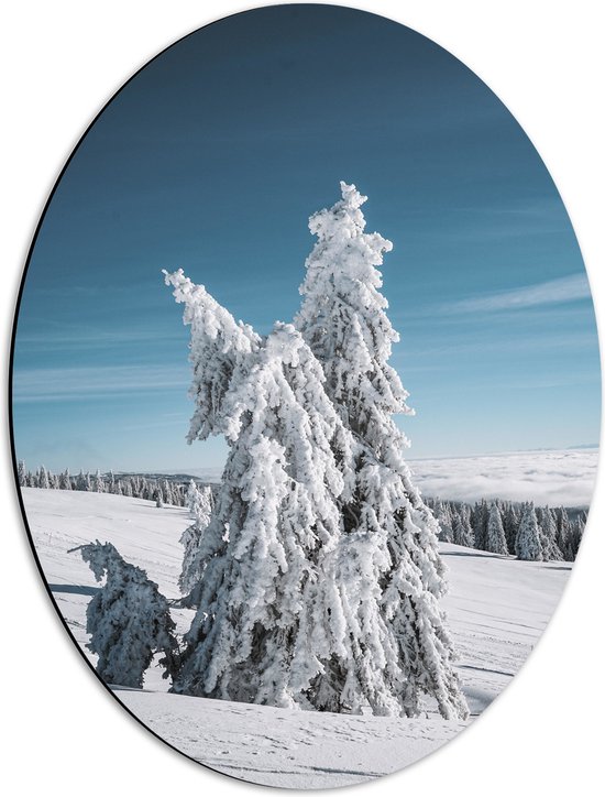 WallClassics - Dibond Ovaal - Dikke Sneeuwlaag op Boom in Wit Landschap - 42x56 cm Foto op Ovaal (Met Ophangsysteem)