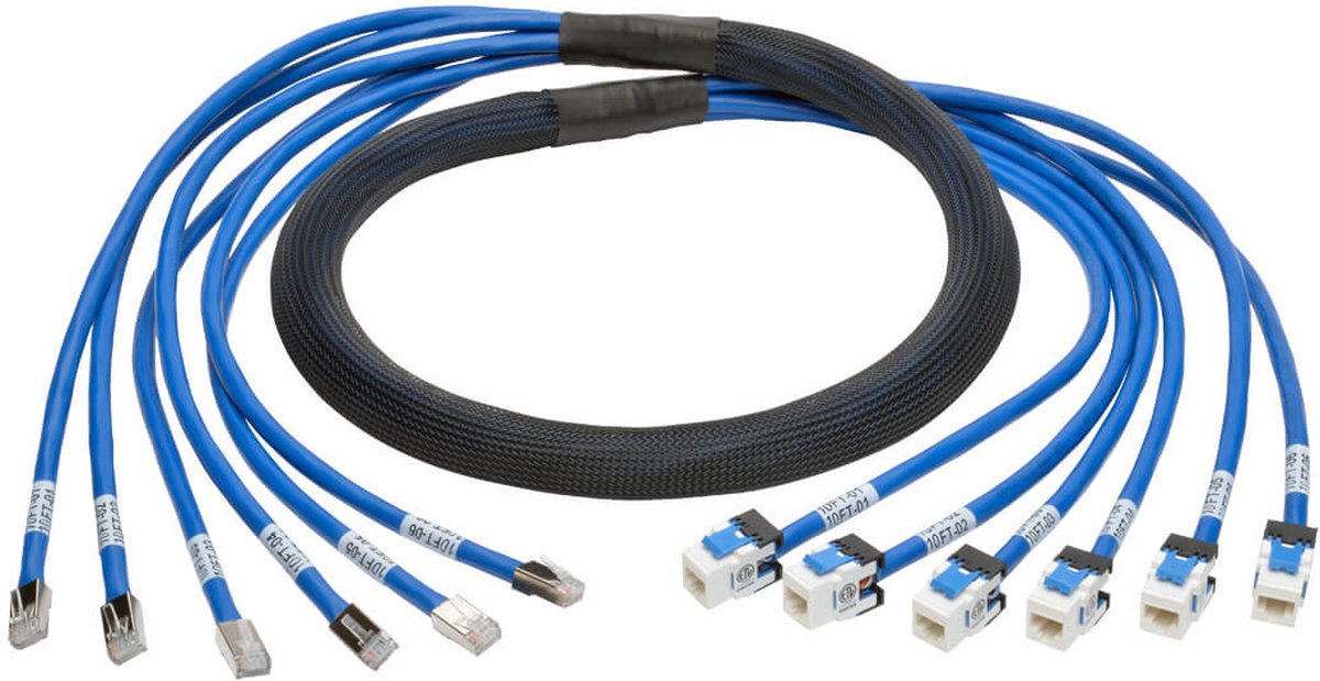 Tripp Lite Cat6/Cat6a, 10ft netwerkkabel 3,05 m Blauw