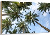 WallClassics - Hout - Onderaanzicht van Hoge Groene Palmbomen - 120x80 cm - 9 mm dik - Foto op Hout (Met Ophangsysteem)