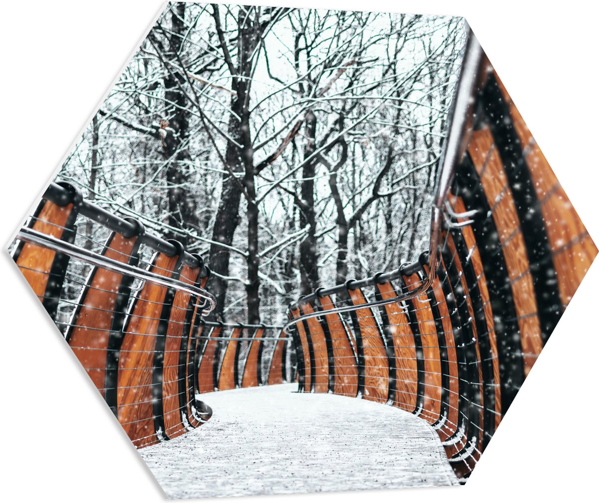PVC Schuimplaat Hexagon - Hekwerk in Ondergesneeuwd Bos - 80x69.6 cm Foto op Hexagon (Met 