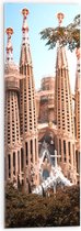 Acrylglas - Sagrada Familia Basiliek - Spanje - 30x90 cm Foto op Acrylglas (Met Ophangsysteem)