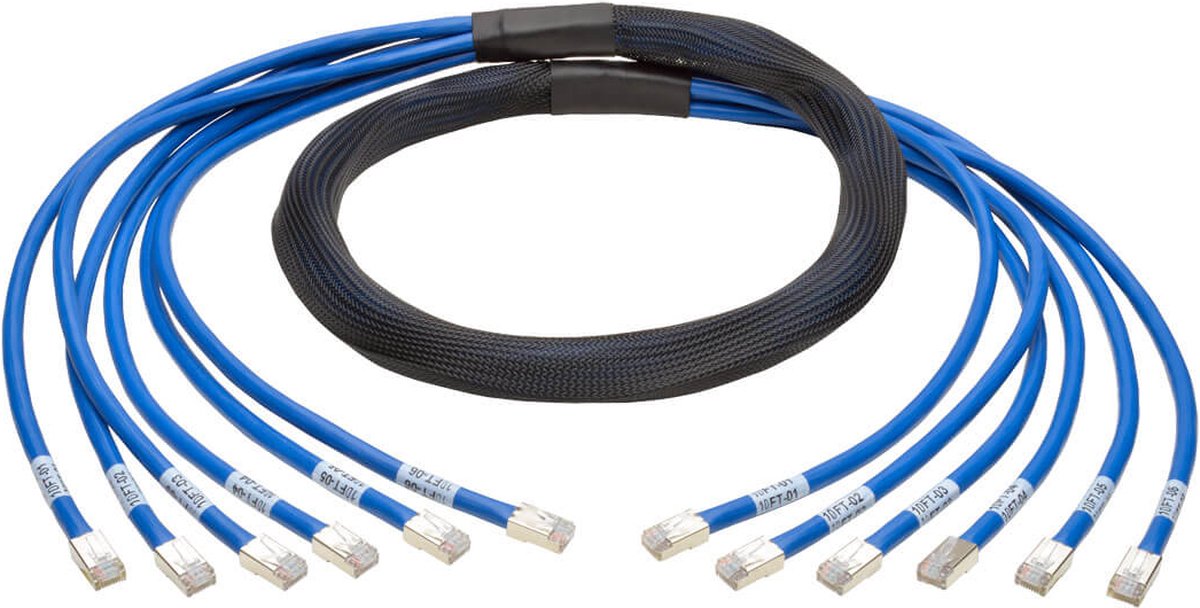 Tripp Lite Cat6/Cat6a, 10ft netwerkkabel 3,05 m Blauw