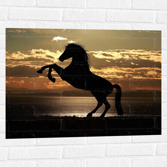 Muursticker - Silhouet van Stijgend Paard aan de Kust tijdens Zonsondergang - 80x60 cm Foto op Muursticker