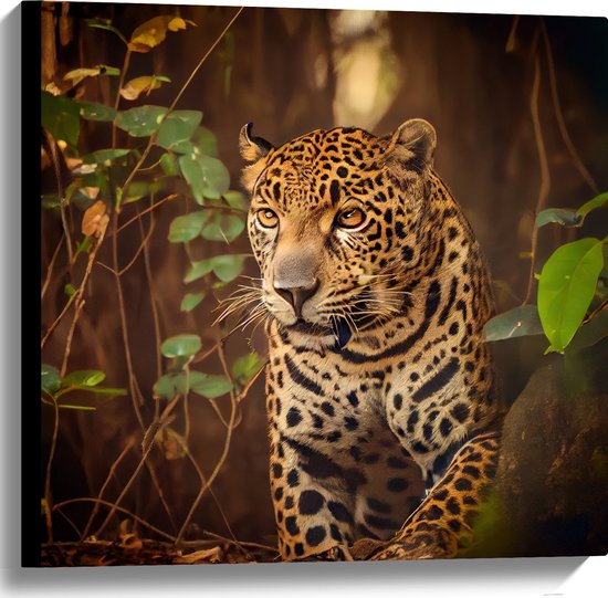 Canvas - Sluipende Jaguar met Helder Oranje Ogen door het Bos - 60x60 cm Foto op Canvas Schilderij (Wanddecoratie op Canvas)
