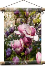 Textielposter - Roze Magnolia Bloemen aan Struik in het Veld - 30x40 cm Foto op Textiel