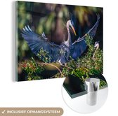 MuchoWow® Glasschilderij 90x60 cm - Schilderij acrylglas - Blauwe reiger met gespreide vleugels. - Foto op glas - Schilderijen