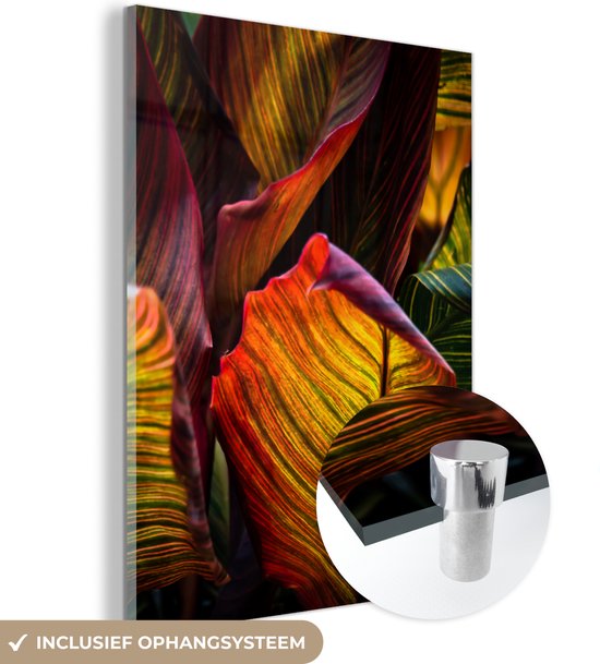 MuchoWow® Glasschilderij 30x40 cm - Schilderij acrylglas - Warm gekleurd bloemriet - Foto op glas - Schilderijen