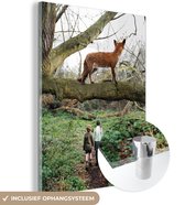 MuchoWow® Peinture sur verre - Renard dans un arbre - 30x40 cm - Peintures sur verre acrylique - Photo sur Glas