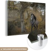 MuchoWow® Glasschilderij 180x120 cm - Schilderij acrylglas - Paard - Boom - Herfst - Andalusiër - Foto op glas - Schilderijen