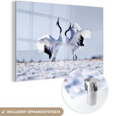 MuchoWow® Glasschilderij 120x80 cm - Schilderij acrylglas - Vogels - Sneeuw - Winter - Foto op glas - Schilderijen