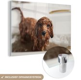 MuchoWow® Glasschilderij 30x20 cm - Schilderij acrylglas - Natte hond in bad - Foto op glas - Schilderijen
