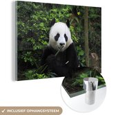 MuchoWow® Glasschilderij 90x60 cm - Schilderij acrylglas - Panda - Bamboe - Bos - Foto op glas - Schilderijen