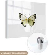 Peinture sur verre MuchoWow® - Réséda blanc - 80x60 cm - Peintures sur verre acrylique - Photo sur Glas