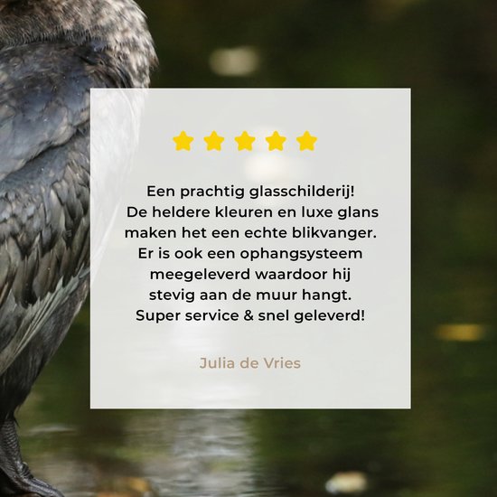 MuchoWow® Peinture sur Verre - Vogel - Branche - Water - Animaux - Cormoran - 160x120 cm - Peintures sur Verre Acrylique - Photo sur Glas