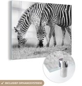 MuchoWow® Glasschilderij 160x120 cm - Schilderij acrylglas - Grazende zebra's - Foto op glas - Schilderijen