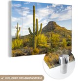 MuchoWow® Glasschilderij 60x40 cm - Schilderij acrylglas - Cactussen in Arizona - Foto op glas - Schilderijen