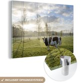 MuchoWow® Glasschilderij 60x40 cm - Schilderij glas - Koeien in weiland - Foto op acrylglas - Schilderijen