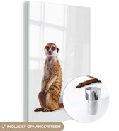 MuchoWow® Glasschilderij 120x180 cm - Schilderij acrylglas - Stokstaartje - Dieren - Vacht - Foto op glas - Schilderijen