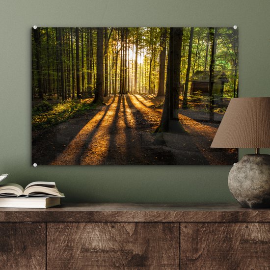 Peinture sur verre - Peinture sur verre intérieur - Forêt - Soleil - Nature - Paysage - Verre acrylique - Photo sur verre - Peinture sur verre - 60x40 cm - Décoration murale - Salon