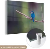 MuchoWow® Glasschilderij 60x40 cm - Schilderij acrylglas - Witkraagijsvogel rust uit op een takje - Foto op glas - Schilderijen