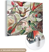 MuchoWow® Glasschilderij 40x30 cm - Schilderij acrylglas - Kolibrie - Vintage - Ernst Haeckel - Vogel - Kunst - Natuur - Foto op glas - Schilderijen
