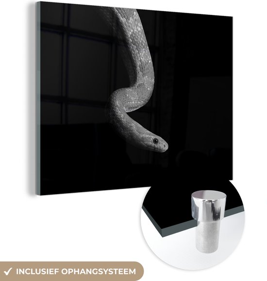 Peinture sur verre - Photo sur verre - Verre acrylique - Animaux - Serpent - Zwart - Wit - 160x120 cm - Décoration murale verre - Chambre - Peinture sur verre animaux - Peinture verre - Décoration murale