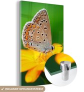 MuchoWow® Glasschilderij 40x60 cm - Schilderij acrylglas - Bloemen - Vlinder - Natuur - Foto op glas - Schilderijen