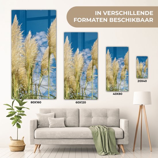 MuchoWow® Peinture sur verre 80x160 cm - Peinture sur verre acrylique - Herbe de la pampa - Plante - Nature - Photo sur verre - Peintures