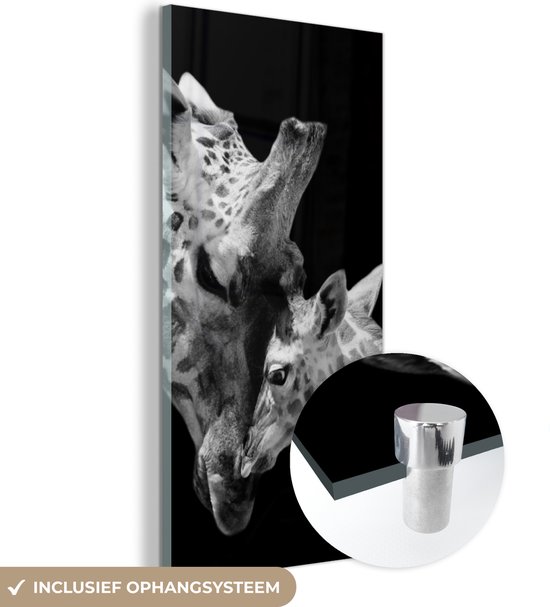 Glasschilderij - Foto op glas - Wilde dieren - Giraffe - Familie - Zwart - Wit - Acrylglas - 40x80 cm - Glasschilderij giraffe - Wanddecoratie dieren - Schilderij glas