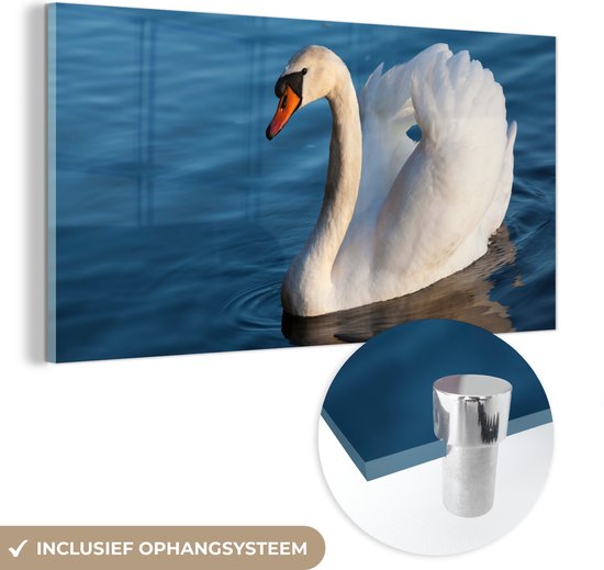 Glasschilderij - Foto op glas - Acrylglas - Zwaan - Vogel - Water - Landschap - 80x40 cm - Schilderij glas - Glasschilderij vogels - Glasschilderij dieren - Kamer decoratie