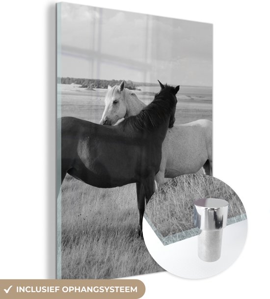 Glasschilderij - Foto op glas - Acrylglas - Dieren - Paarden - Gras - Natuur - 90x120 cm - Glasschilderij paard - Schilderij glas - Glasschilderij dieren - Wanddecoratie - Slaapkamer