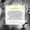 Product afbeelding  11