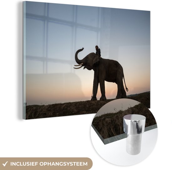 MuchoWow® Glasschilderij 120x80 cm - Schilderij acrylglas - Een illustratie van een olifant met een kleurrijke zonsondergang - Foto op glas - Schilderijen