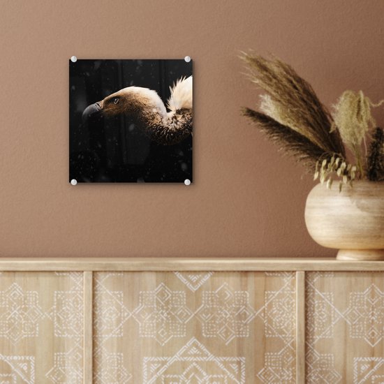 MuchoWow® Peinture sur verre 20x20 cm - Peinture acrylique sur verre - Vautour - Wit - Zwart - Photo sur verre - Peintures