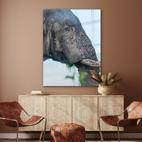 MuchoWow® Peinture sur verre 90x120 cm - Peinture sur verre acrylique - Éléphant - Animaux - Grijs - Nature - Photo sur verre - Peintures