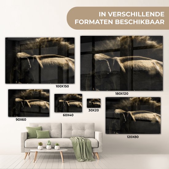 MuchoWow® Peinture sur verre 60x40 cm - Peinture sur verre acrylique - Éléphant - Boue - Animaux - Zwart - Photo sur verre - Peintures