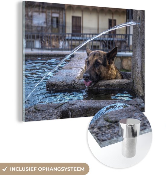 MuchoWow® Glasschilderij 120x90 cm - Schilderij acrylglas - Duitse herder - Hond - Fontein - Drinken - Foto op glas - Schilderijen