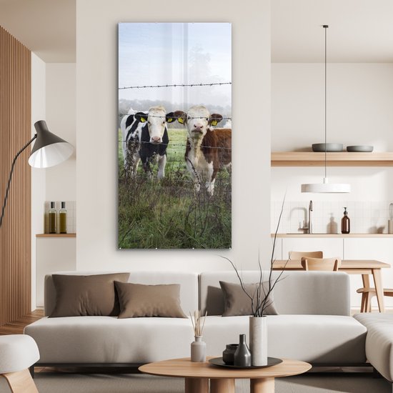 MuchoWow® Peinture sur Verre - Vaches - Fil de Fer Barbelé - Herbe - Animaux - 80x160 cm - Peintures sur Verre Acrylique - Photo sur Glas