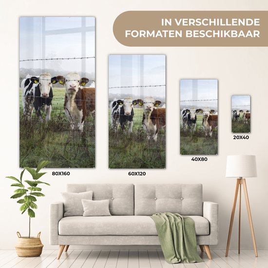 ® Glasschilderij 80x160 cm - Schilderij acrylglas - Koe - Prikkeldraad - Gras - Dieren - Foto op glas - Muurdecoratie woonkamer - Wanddecoratie slaapkamer - Schilderijen