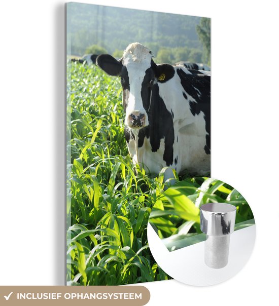 Une vache frisonne parmi les hautes herbes vertes Plexiglas 120x180 cm - Tirage photo sur Glas (décoration murale plexiglas) XXL / Groot format!