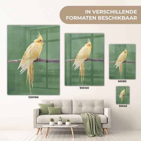 MuchoWow® Peinture sur verre - Calopsitte jaune sur un bâton - 90x120 cm - Peintures sur verre acrylique - Photo sur Glas