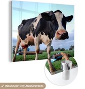 Une curieuse vache frisonne Plexiglas 80x60 cm - Tirage photo sur Glas (décoration murale plexiglas)