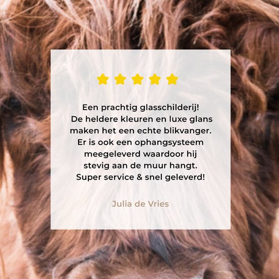 Peinture sur Verre - Highlander écossais - Animaux - Forêt - 160x80 cm - Peintures sur Verre Peintures - Photo sur Glas