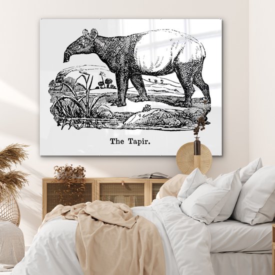 MuchoWow® Peinture sur verre 160x120 cm - Peinture sur verre acrylique - Illustration d'un tapir dans un champ en noir et blanc - Photo sur verre - Peintures